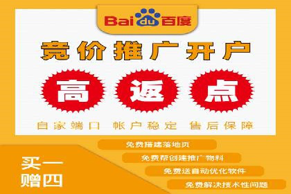 百度竞价排名策略解析：一家公司的广告投放策略全揭秘