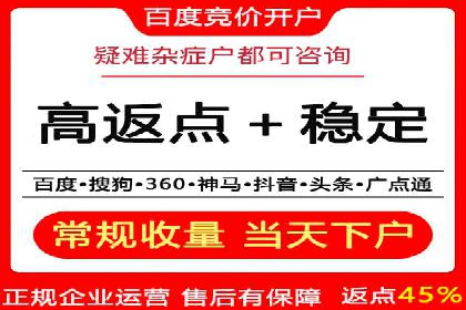 某某SEM团队成功案例：广告投放策略揭秘